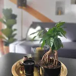 Lockei